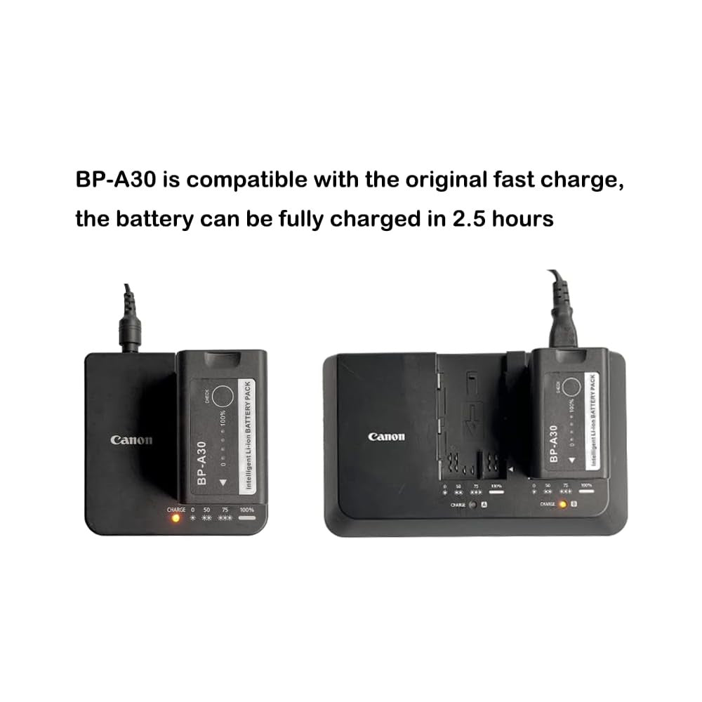 Canon BP-A30 Battery Pack For EOS C Series