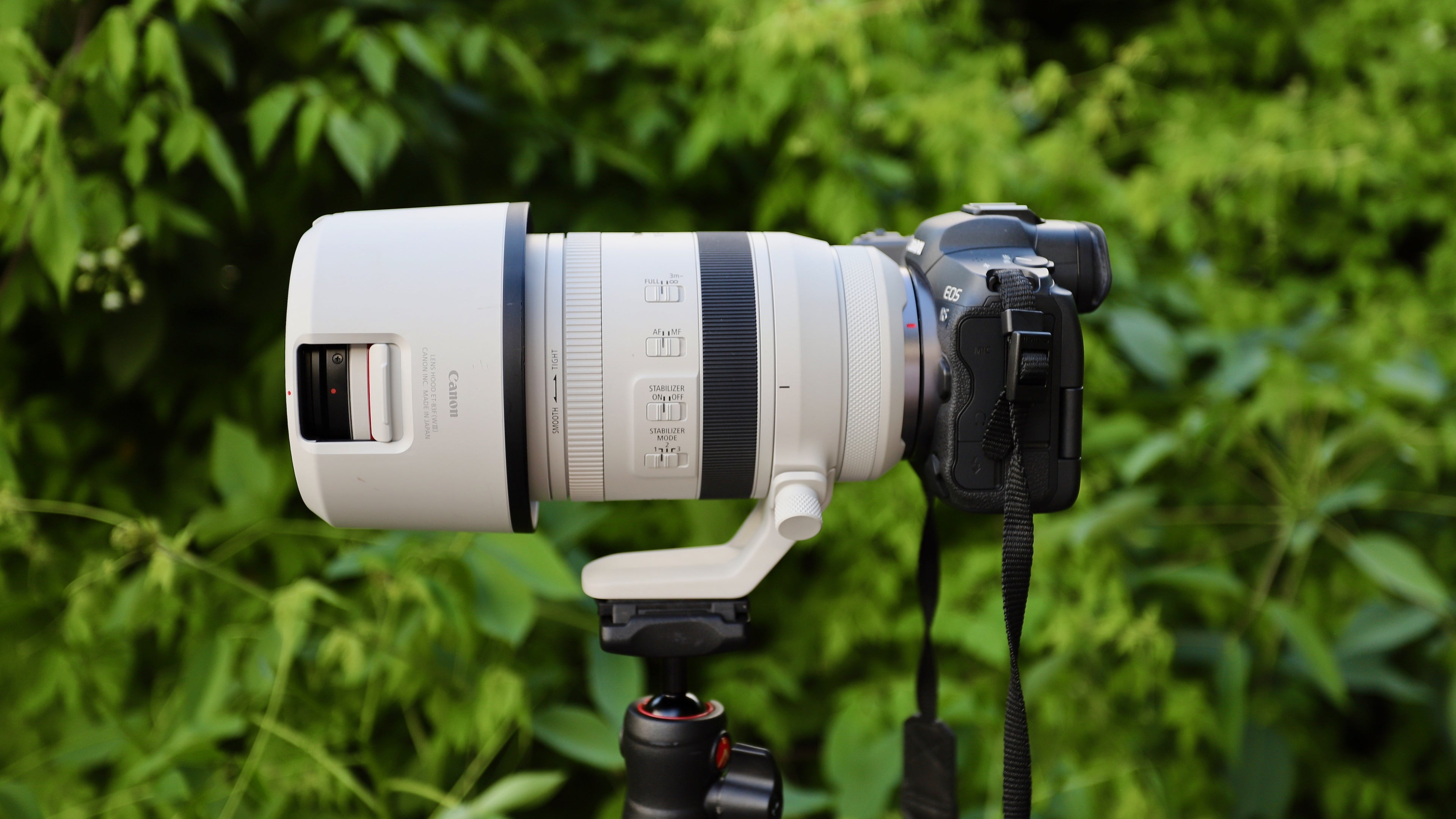 RF 100-500mm f/4.5-7.1L IS USM
