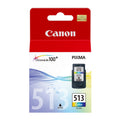 Ink cartridge C-CL513