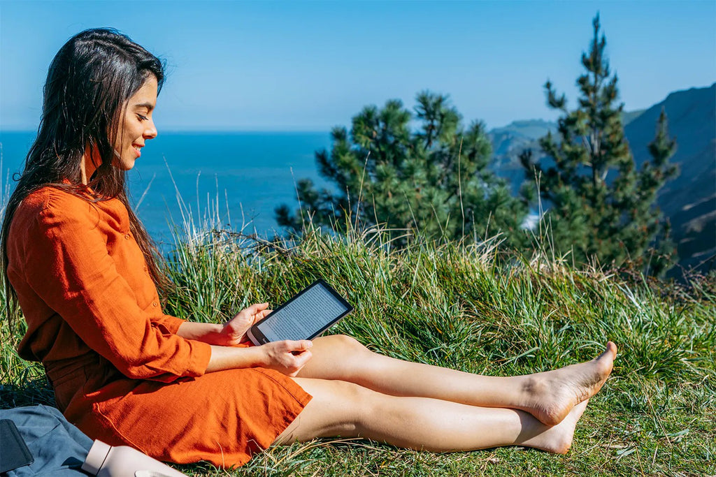 PocketBook e-reader 700 Era, Stardust Silver
